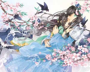 qovd在线观看qovd日本 qoder官网qoder官网下载  第4张